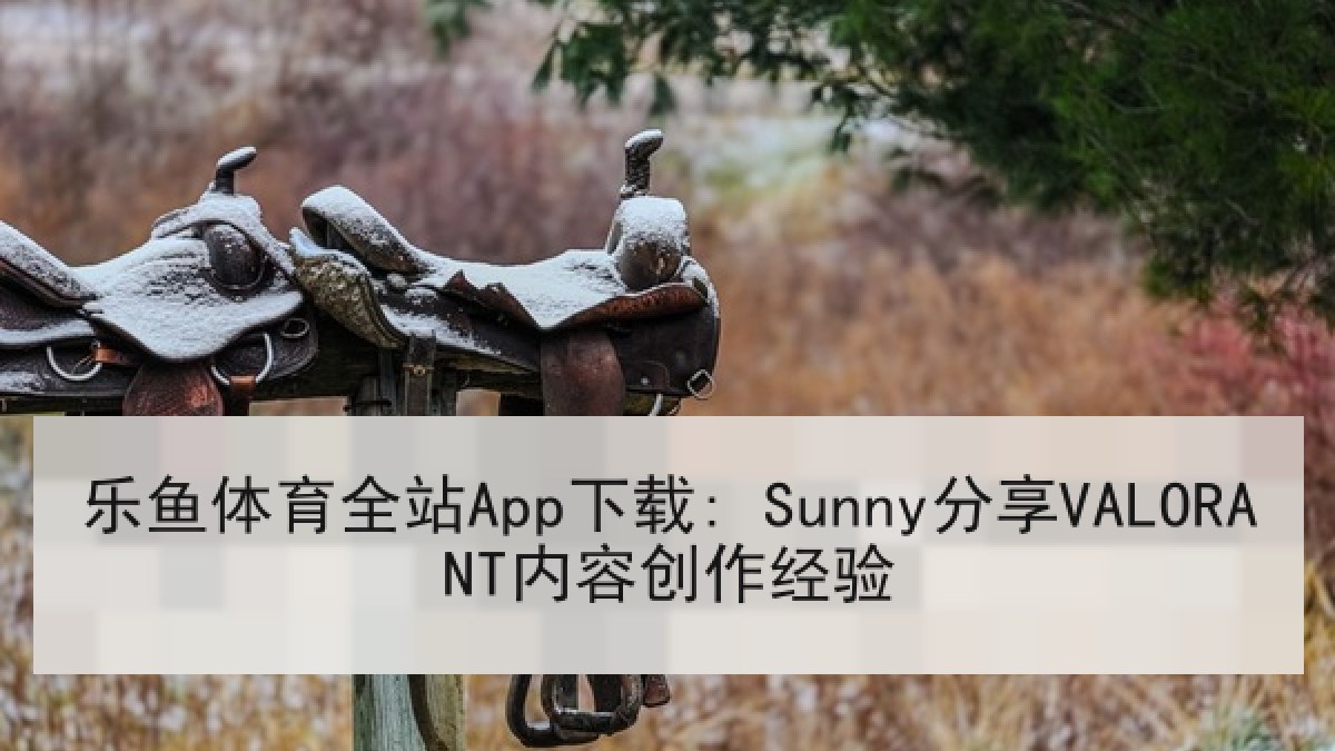 乐鱼体育全站App下载: Sunny分享VALORANT内容创作经验